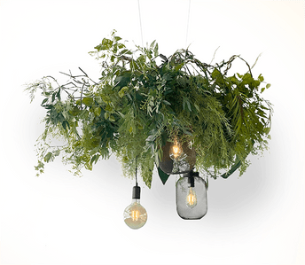 SUSPENSION-PLANTES-MOYENNE.2-09-06-23.png