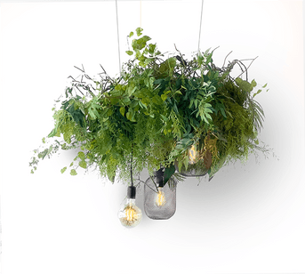 SUSPENSION-PLANTES-MOYENNE-09-06-23.png