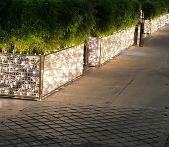 WhatsApp Image 2023-01-16 at 08.19.56 (3).jpeg