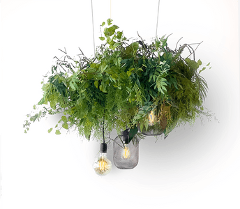 SUSPENSION-PLANTES-MOYENNE-09-06-23.png