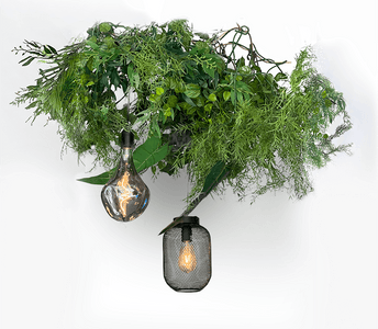 SUSPENSION-PLANTES-PETITE2-V4-09-06-23.png